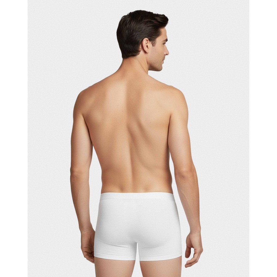 BOXER MODAL BASIC